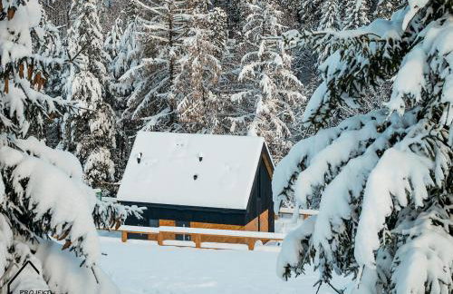 Projekt ŚWIT - domki z prywatną jacuzzi i sauną - Foto 21