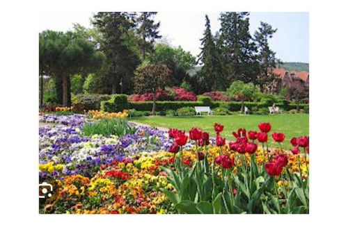 Raquet 2 Comfortable holiday residence - Foto 17