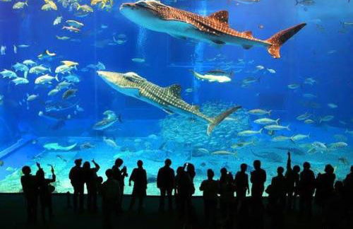 Casa Lindíssima e Espaçosa com 2 Piscinas - Adulto e Infantil, Perto da Praia, Opção da Piscina Adulto Aquecida Cobrado à Parte, 4 Quartos Frente as Piscinas, Área Gourmet Completa com Churrasqueira, Forno e Fogão a Lenha, Mesa de Bilhar, Lareira na Sala - Photo 5