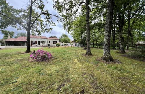 Résidence 105-st Vivien De Medoc - 105 - Superbe maison avec son grand parc verdoyant MAE-2871 - Foto 1