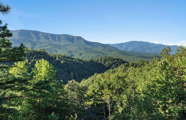 Angels View by Jackson Mountain Rentals - Photo 46