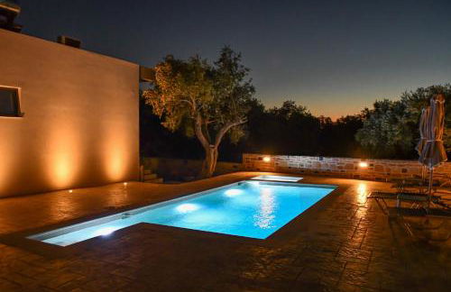 PAUL'S VILLA PLAKIAS - Photo 47