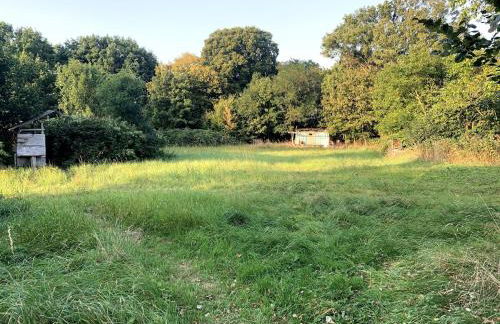 Nachhaltige Wohnung im Seenland - Foto 15