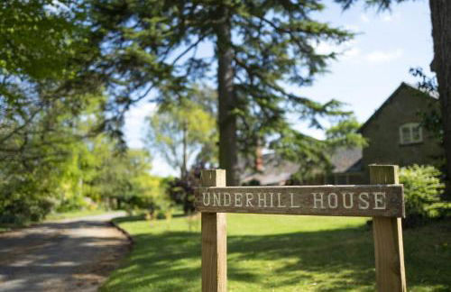 Little Underhill - Photo 56