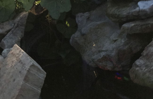 Tenderfoot Cabins & Motel - Foto 70