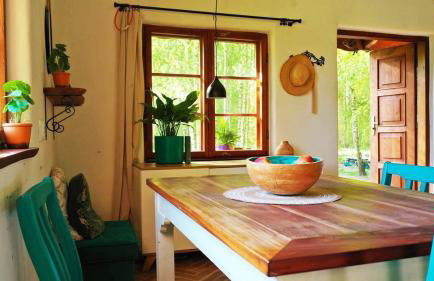 Siedlisko MiłoBrzózka - Photo 7