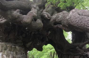 Ferienwohnung Quedlinburg OT Gernrode Harz - Foto 17