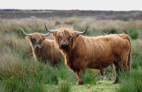 Craiglea Lodge & Barn - Foto 42