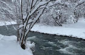 LoveLas - Apartamenty - Photo 60