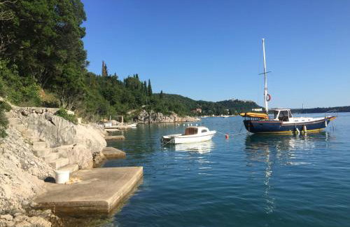 Apartman Cvenkica - Foto 26