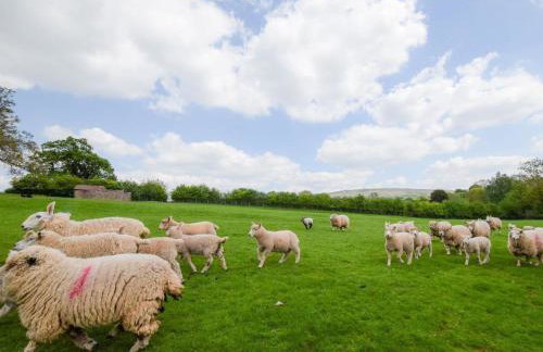 2 Bed in Craven Arms oc-96046 - Foto 24