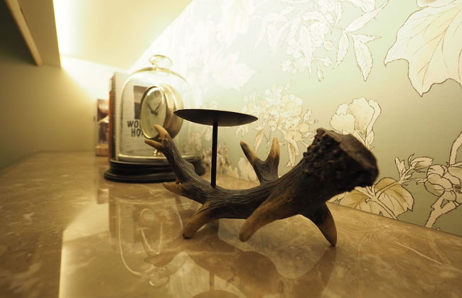 BR4&Zhongxiao Fuxing - Photo 5