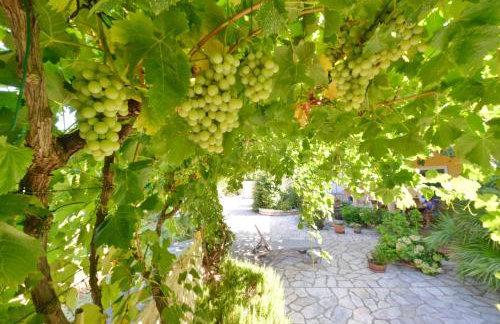 Apartman Marija - Photo 21