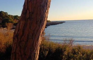 Casa Porto Selvaggio - Foto 47