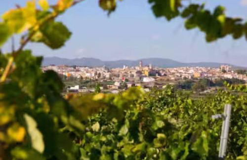 Casa Museo RAKKANA - En el Centro de Requena - Foto 52