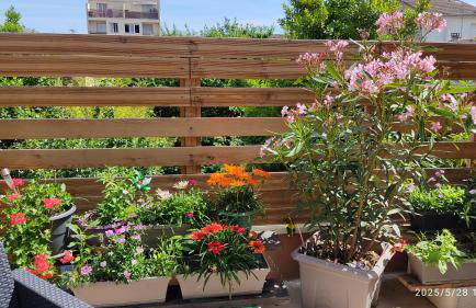 Les Bonbonieres d'Andrea Gavinies Pellegrin - Foto 41