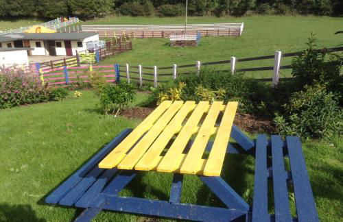 Glan Llyn Farm House - Foto 60