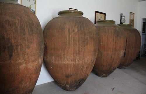 Quinta das Ratoeiras - Foto 29