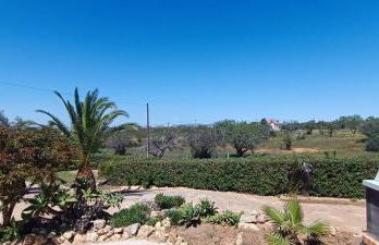 Quinta do Lagar - 06 - Foto 10