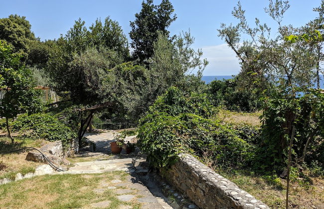 Daria's home at Pelion - Foto 44