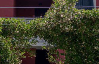 Apartments in Umag - Istrien 26738 - Foto 8