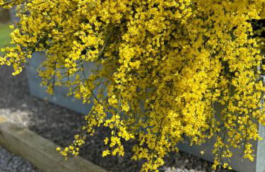 The Winford Retreat - Foto 63