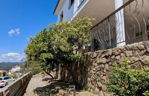 EVH-113 Casa Martina - Photo 8