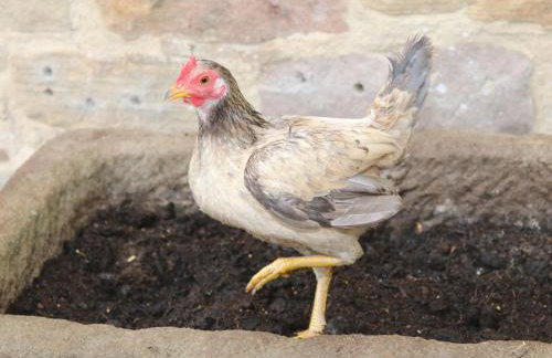 Dale View Farm - Foto 30