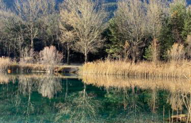 La Baita del vecchio GAD - Photo 26