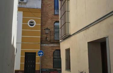 Apartamento Jardin de Santa Paula - Foto 20