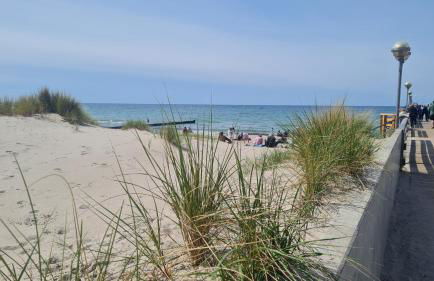 Ferienwohnung Ostsee Graal-Müritz Küstenwald - Foto 30