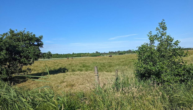 4 Star Holiday Home in Blavand - Foto 2, Miscelánea