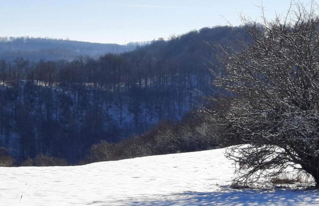Peaceful Apartment in Hüttenrode near Braunlage Ski Area - Foto 30