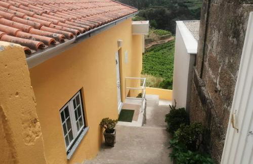 Casa Avós D'Ouro - Barqueiros, Mesão Frio, Douro - Photo 24