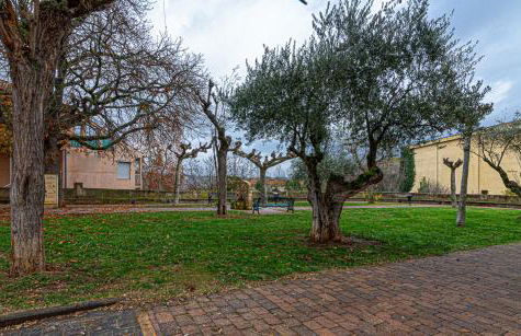 Apartamento VIRGEN DEL VALLE - Foto 25