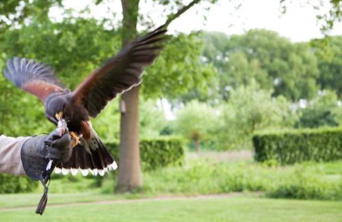Gite La Folie - Foto 19