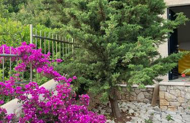 Vila Hera Korčula, Special one, pool, right on the sea,parking, 8 people - Photo 21