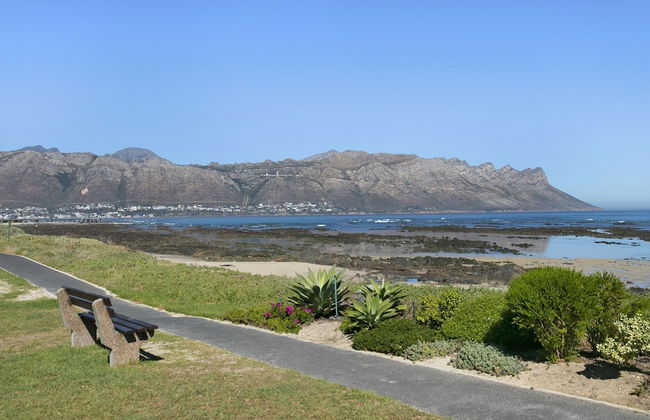 Laguna Beach B8 - Photo 29