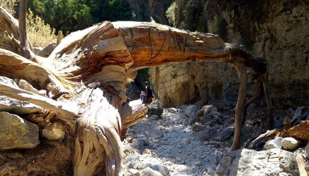 Imbros Gorge - Full-Day Tour - Photo 3