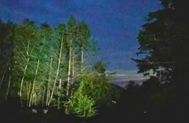 Rare River Views & Access, Cabin by Eden Islands - Foto 46