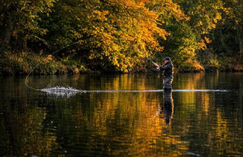Friars Carse Country House Hotel - Foto 10