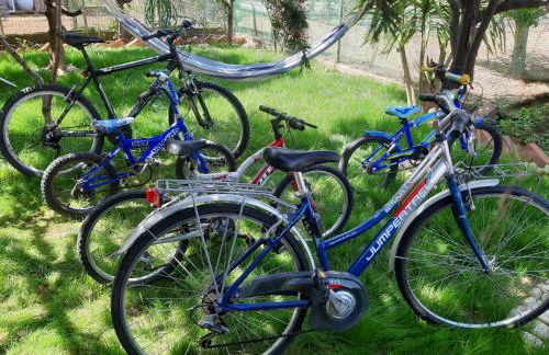 Soula's Sunshine Green Apartment - Photo 20