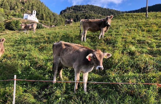 Chalet del Sole - Foto 31