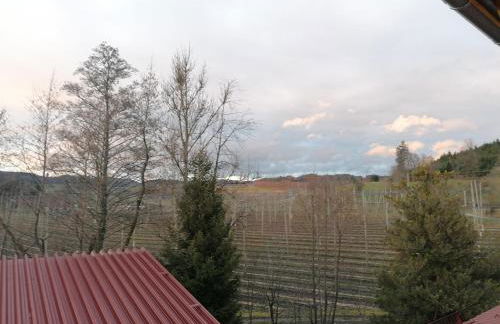 Ferienhof Hopfgärtle Müller - Foto 39