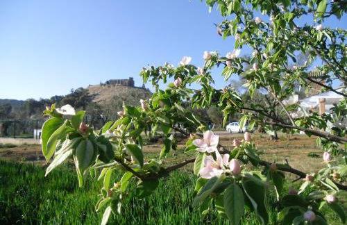 Casa Rural La Serrana de Aracena - Foto 14
