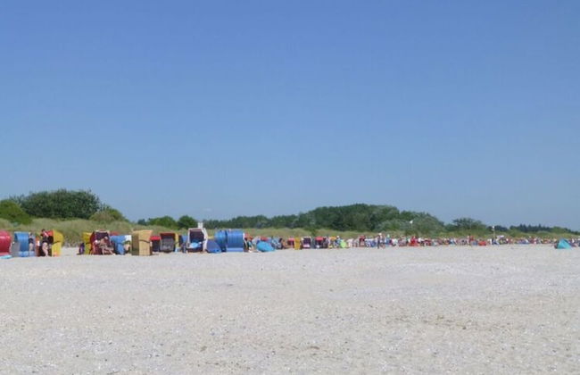 Holiday Home Gray Seal - Photo 27