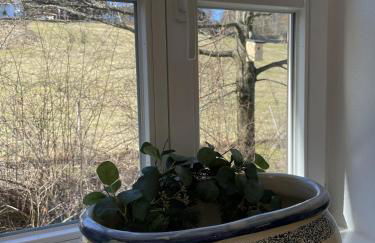 Maisonette Giggi - Foto 6