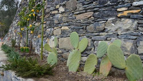 Casa Limoni Terrace Garden - Foto 2, Garden