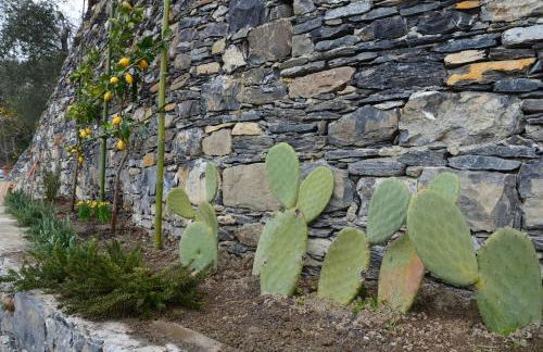 Casa Limoni Terrace Garden - Foto 2