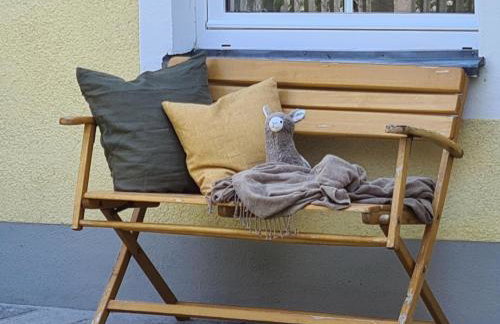 Rosenzauber Gipfelstürmer - Foto 2